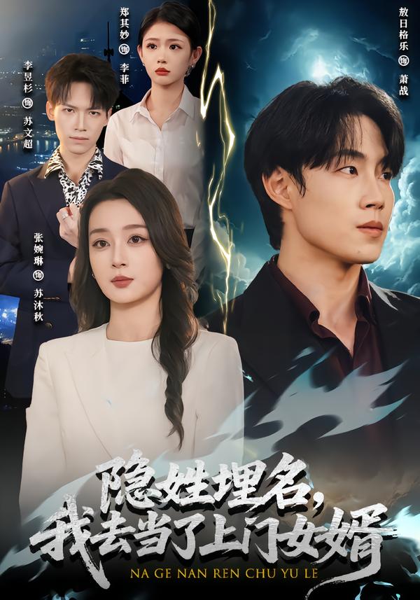 隐姓埋名，我去当了上门女婿