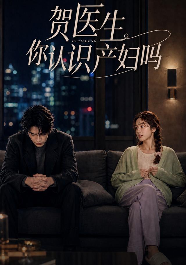 贺医生你认识产妇吗 cover