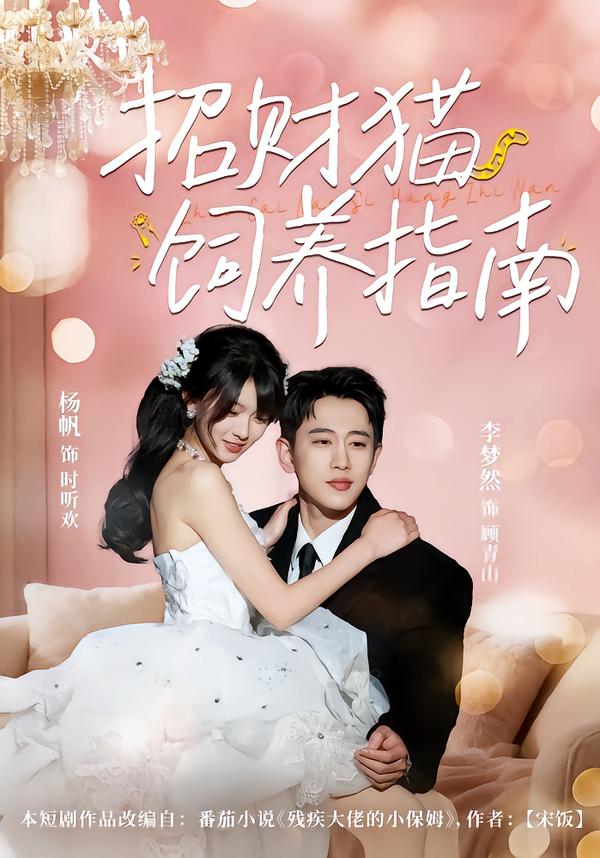 招财猫饲养指南