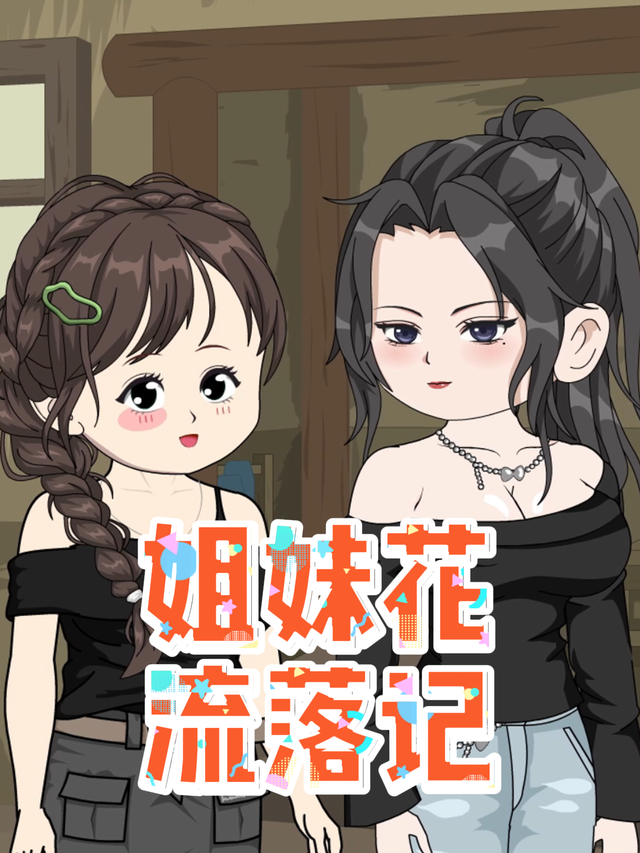 姐妹花流落记封面图