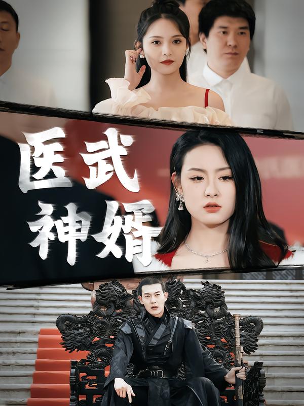 医武神婿