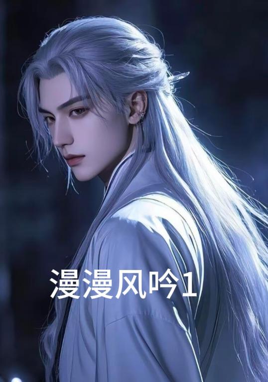 漫漫风吟1封面图