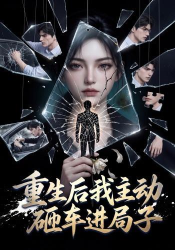 重生后我主动砸车进局子 cover