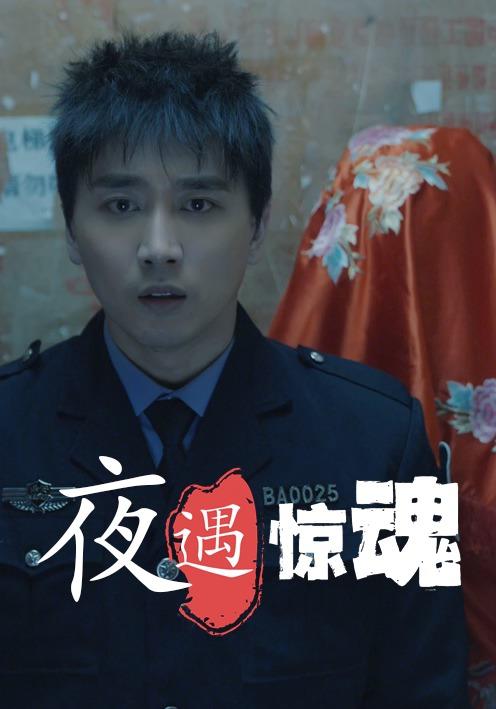 夜遇惊魂封面图