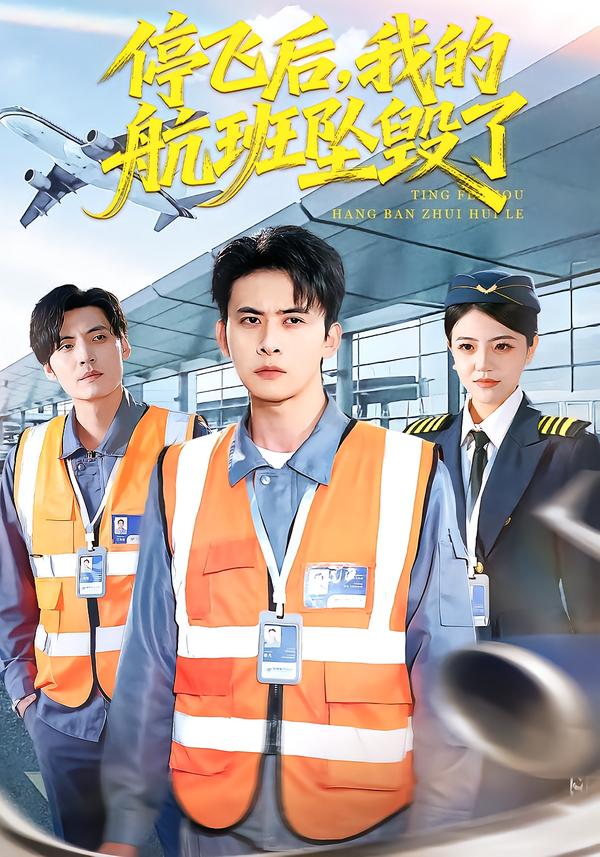 停飞后，我的航班坠毁了