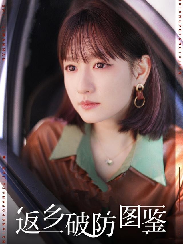 返乡破防图鉴封面图