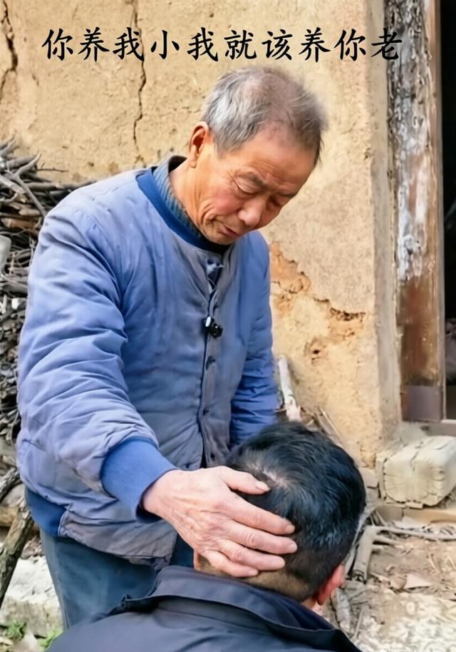 你养我小我就该养你老