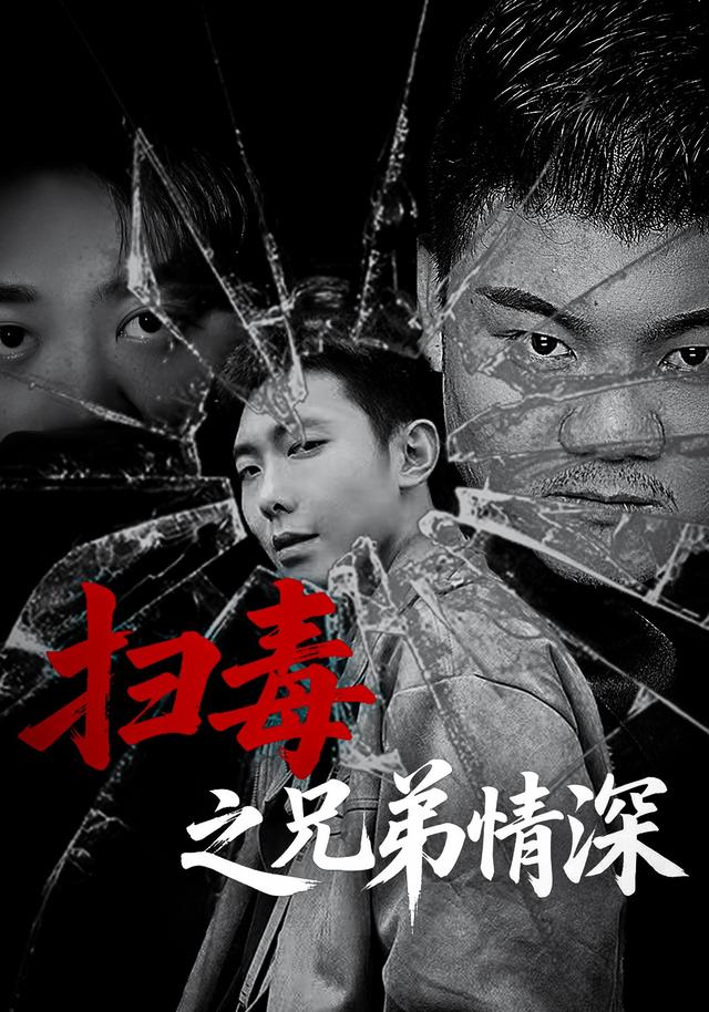 扫毒之兄弟情深封面图