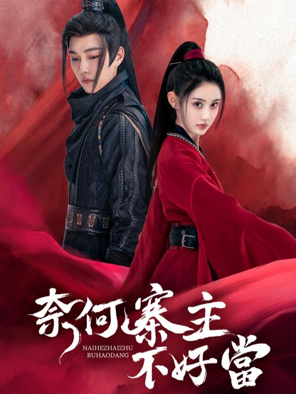 奈何寨主不好当封面图