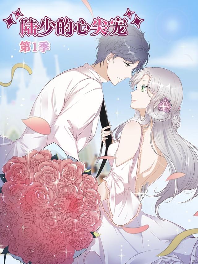 陆少的心尖宠 第一季封面图
