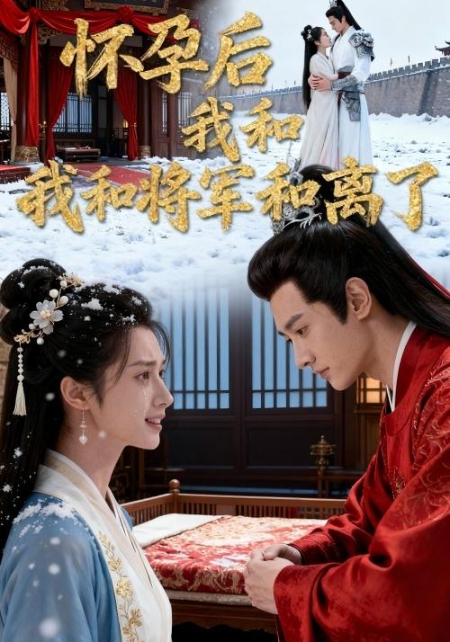 怀孕后我和将军和离了封面图