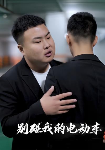 别碰我的电动车