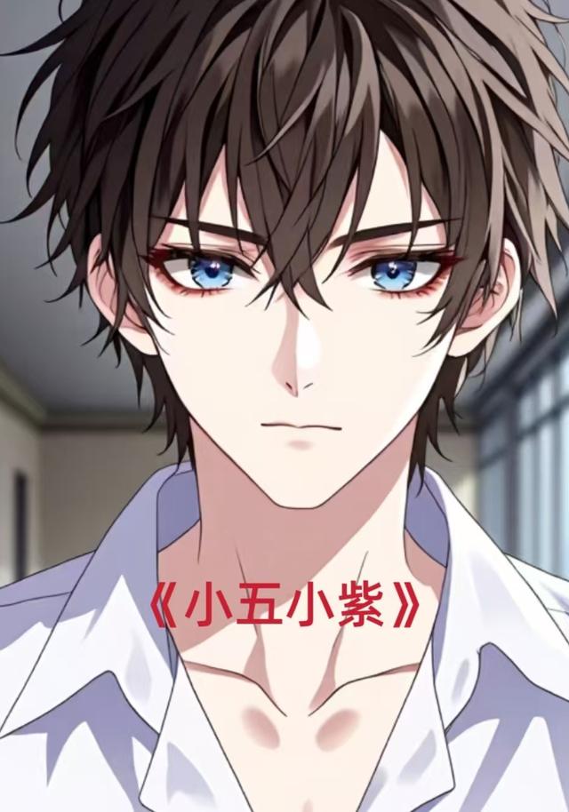小五小紫封面图
