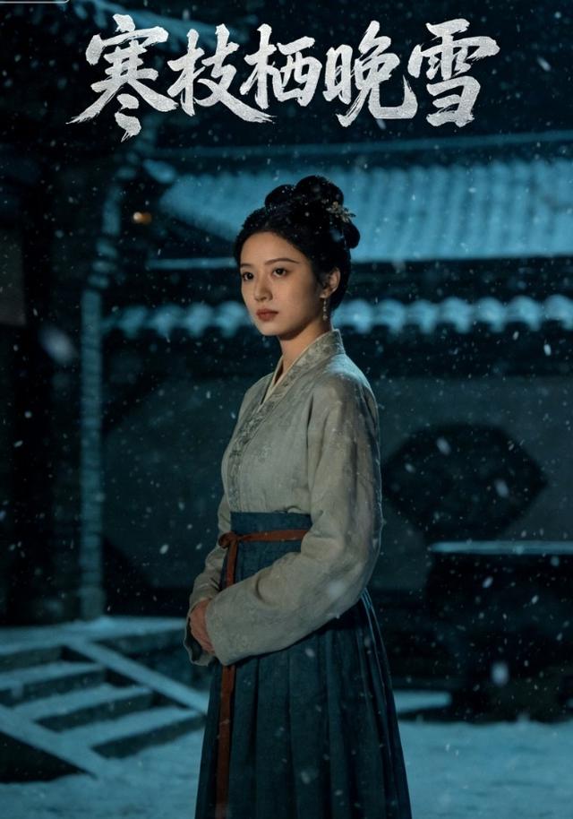 寒枝栖晚雪封面图