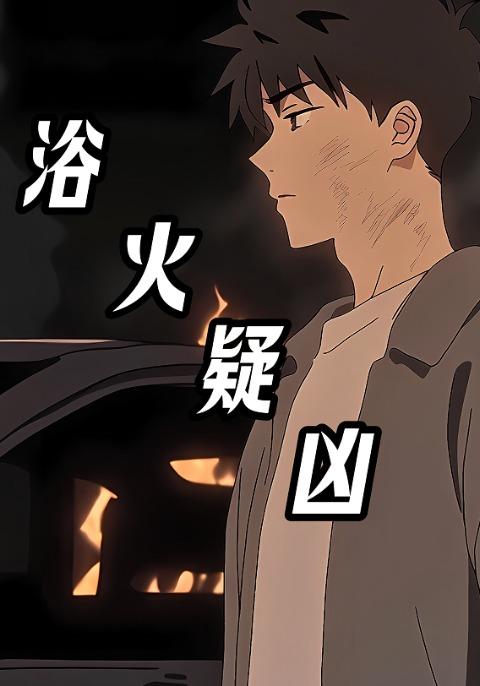 浴火疑凶封面图