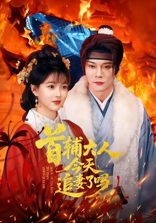 首辅大人今天追妻了吗