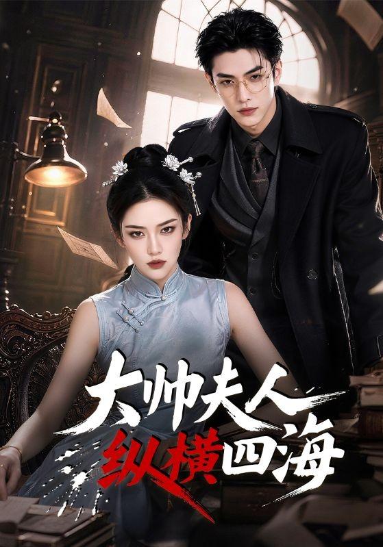大帅夫人纵横四海 cover