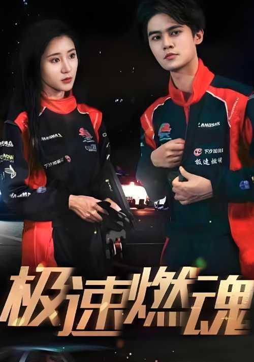 极速燃魂封面图
