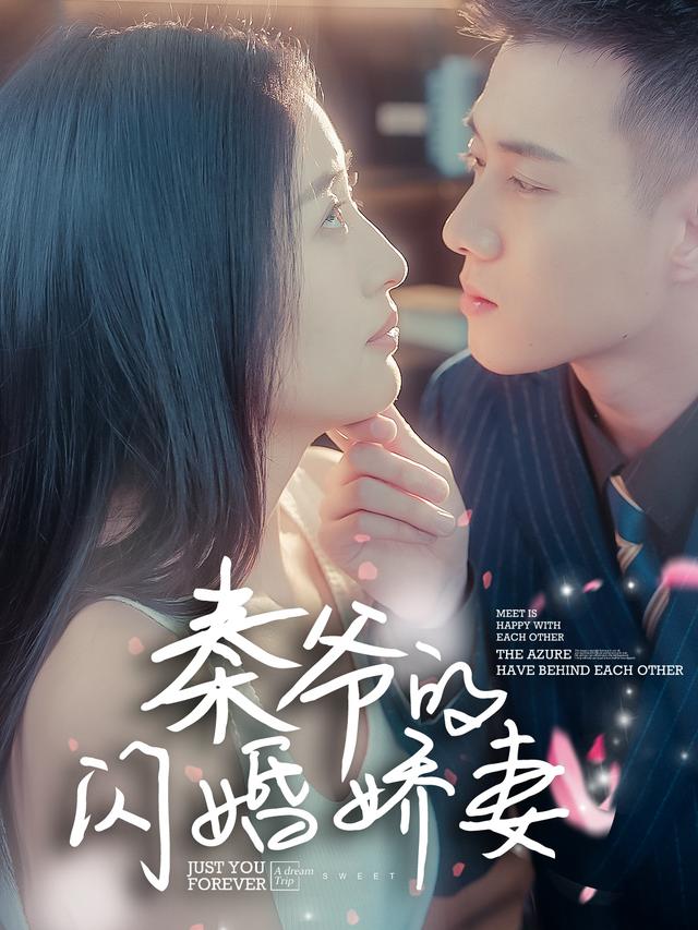 秦爷的闪婚娇妻封面图