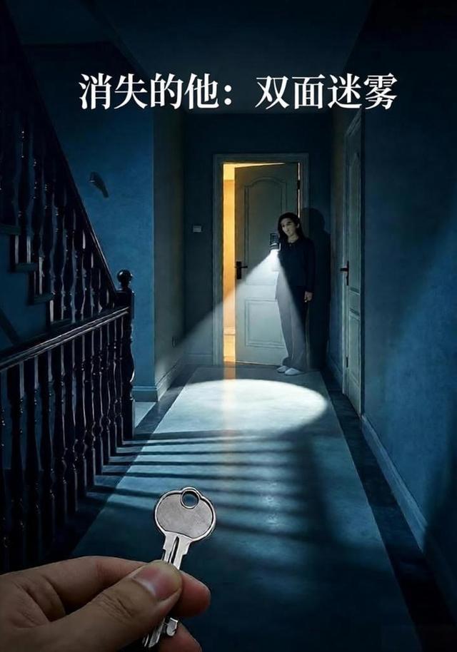 消失的他：双面迷雾 cover