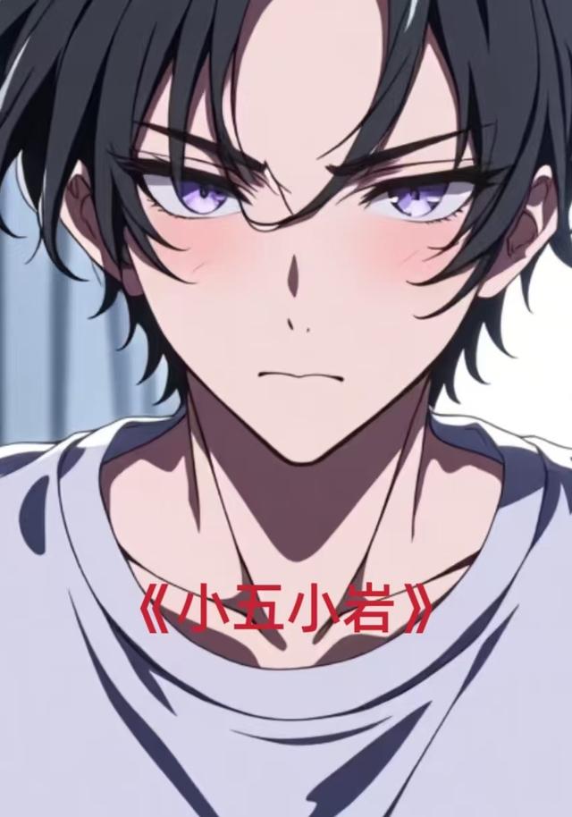 小五小岩封面图