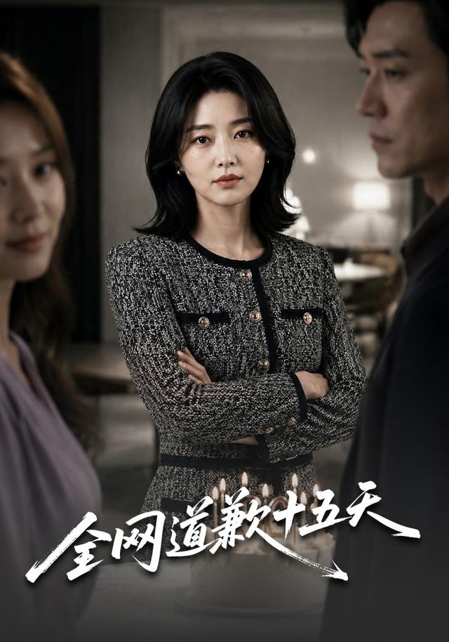 全网道歉十五天 cover