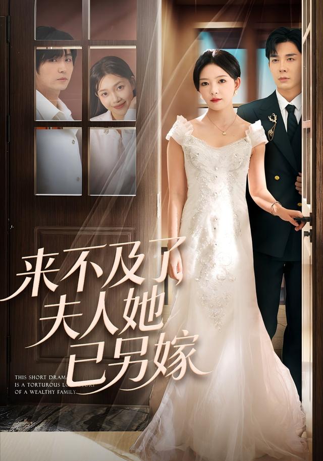 来不及了，夫人她已另嫁封面图