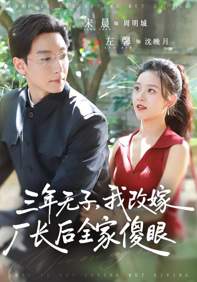 三年无子，我改嫁厂长后全家傻眼