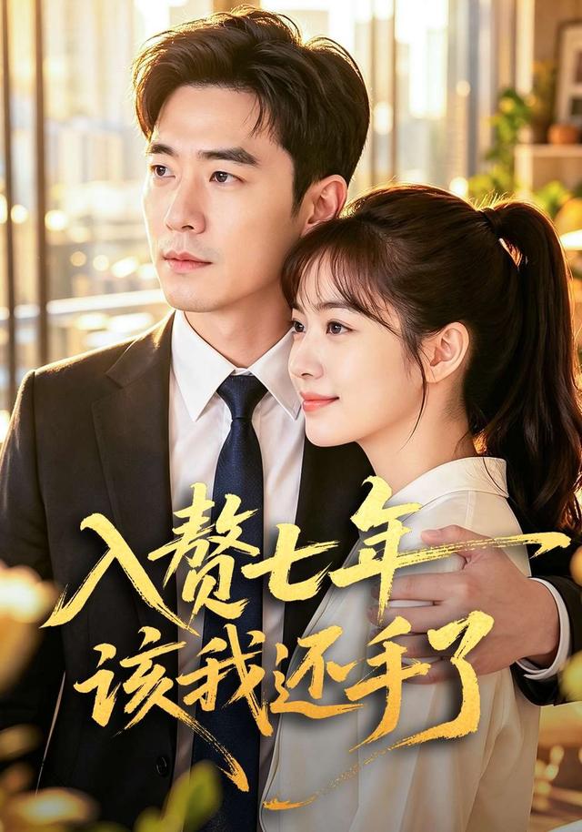 入赘七年该我还手了 cover