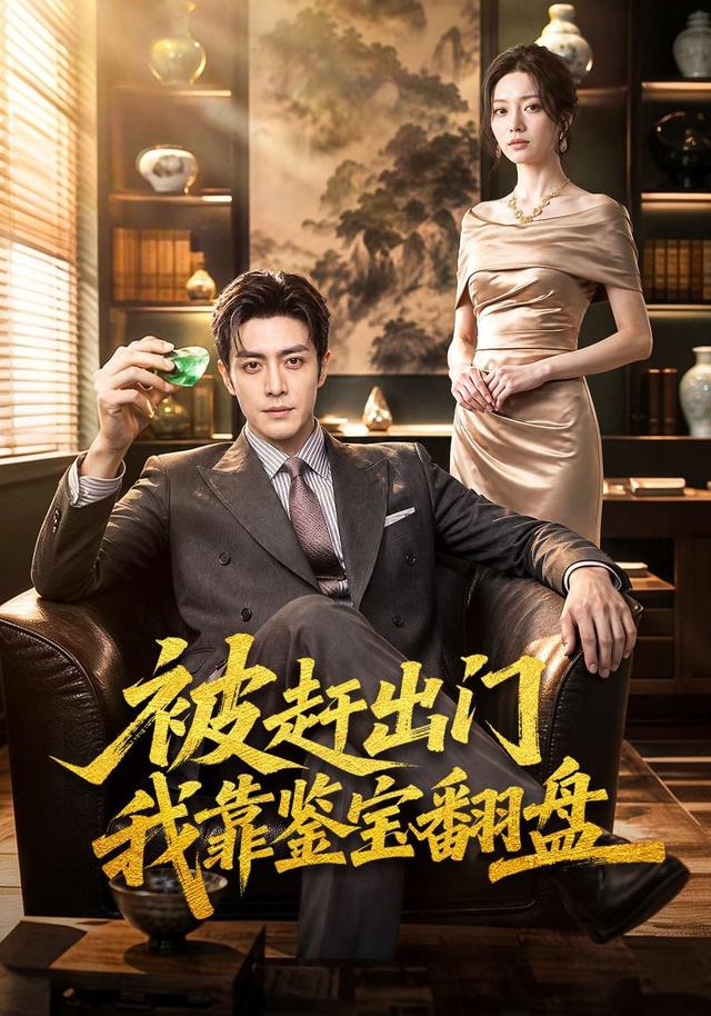 被赶出门我靠鉴宝翻盘 cover