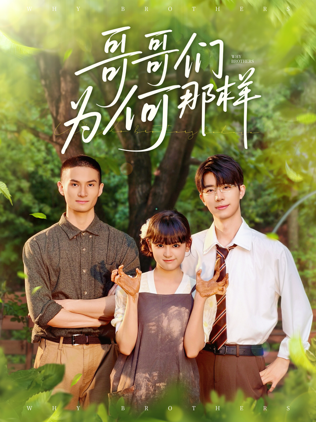 哥哥们为何那样封面图
