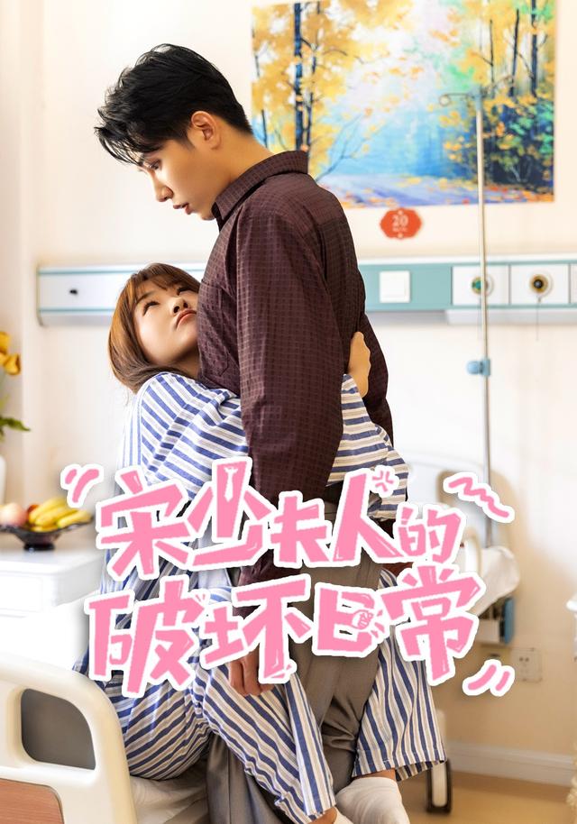 宋少夫人的破坏日常封面图