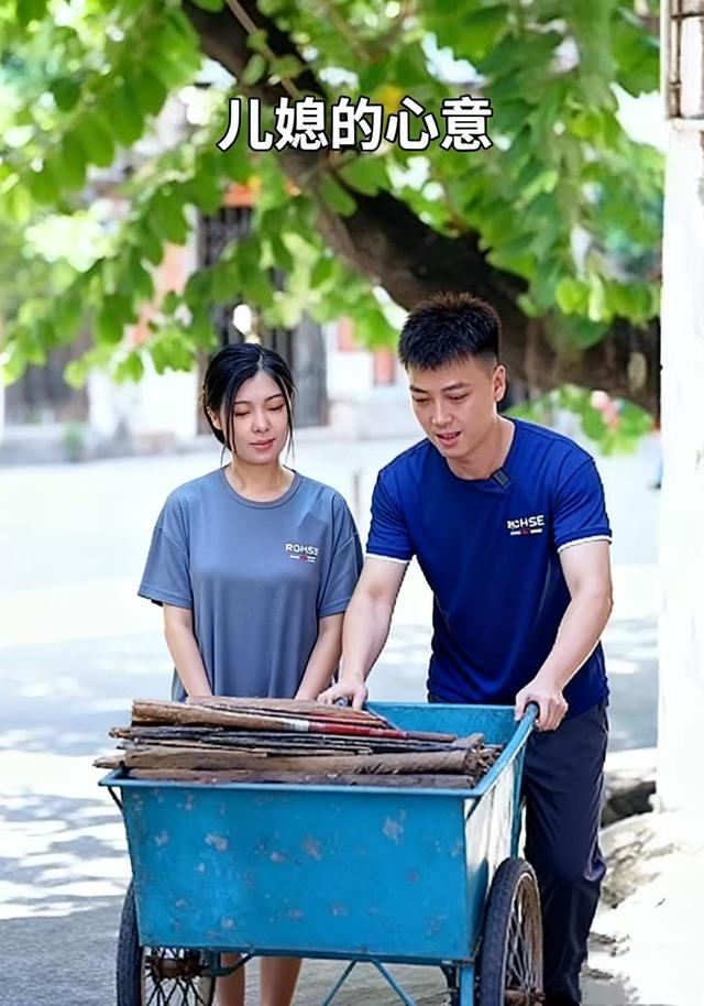 儿媳的心意封面图