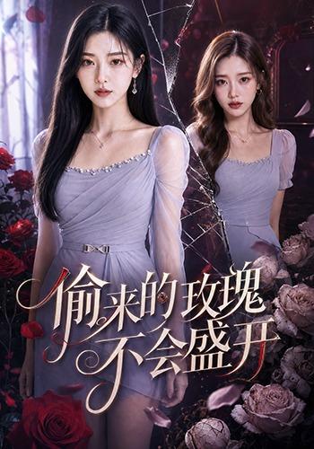 偷来的玫瑰不会盛开 cover