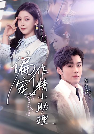 偏宠作精小助理