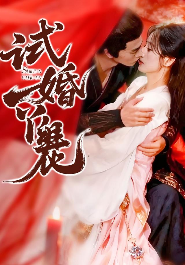 试婚丫鬟封面图