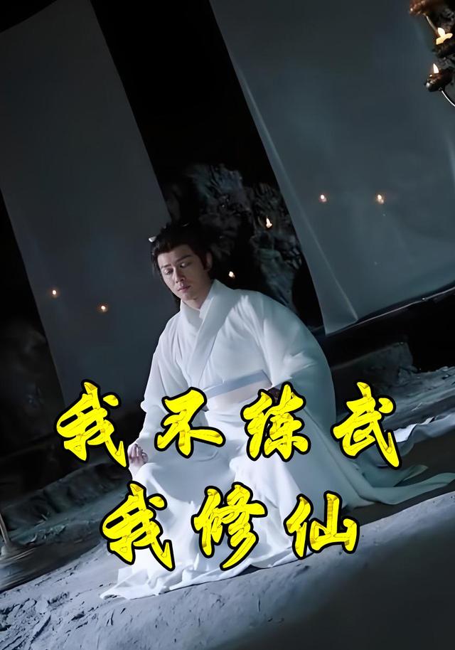 我不练武我修仙封面图