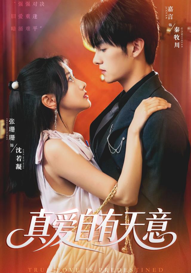 真爱自有天意封面图