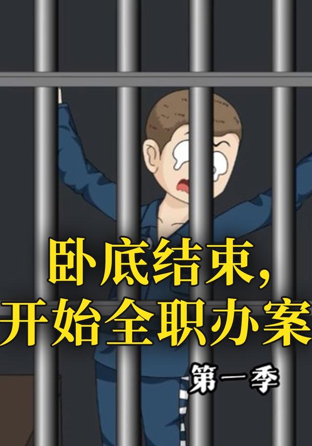 卧底结束，开始全职办案封面图