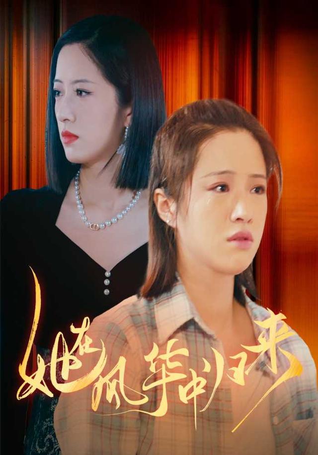 她在风华中归来封面图