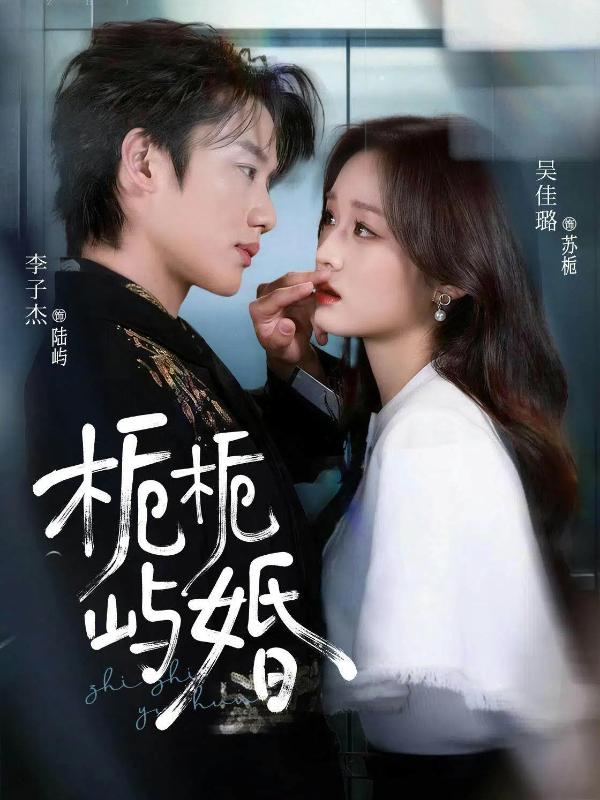 短剧栀栀屿婚海报