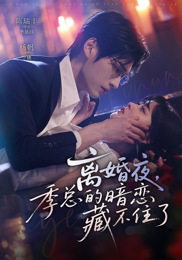 离婚夜，季总的暗恋藏不住了 海报