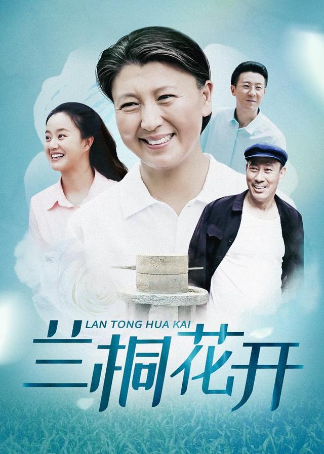 兰桐花开封面图