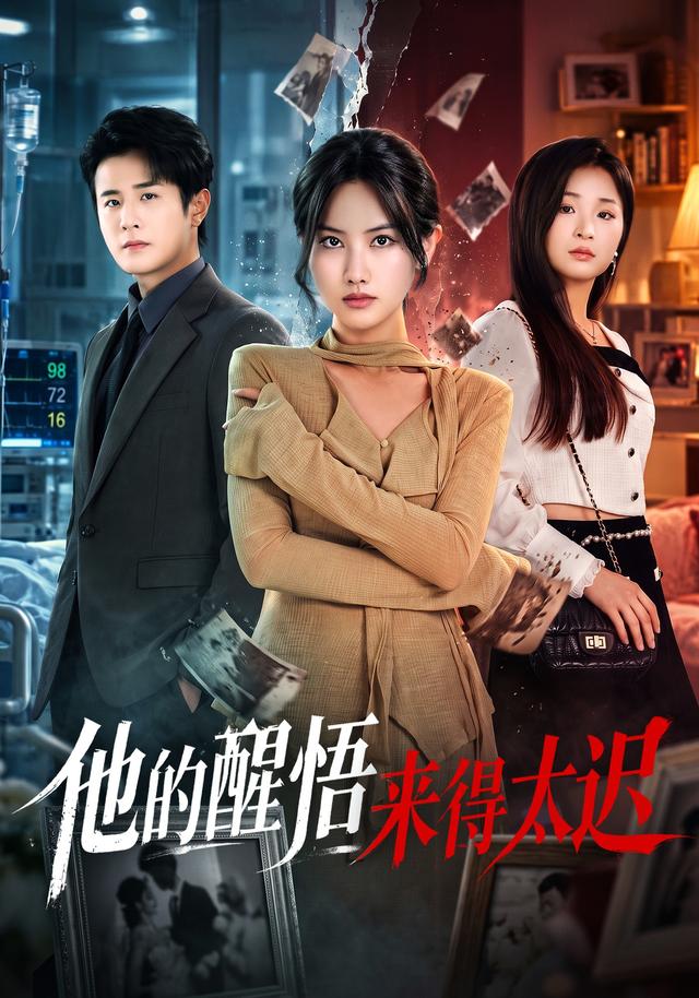 他的醒悟来得太迟