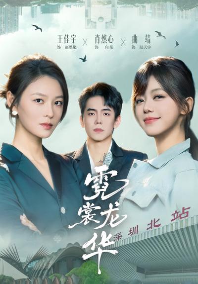 霓裳龙华封面图