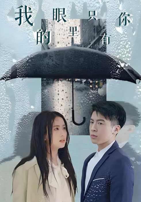 我的眼里只有你封面图