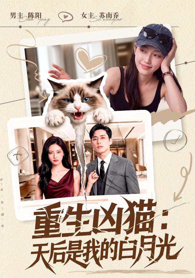 重生凶猫：天后是我的白月光 cover