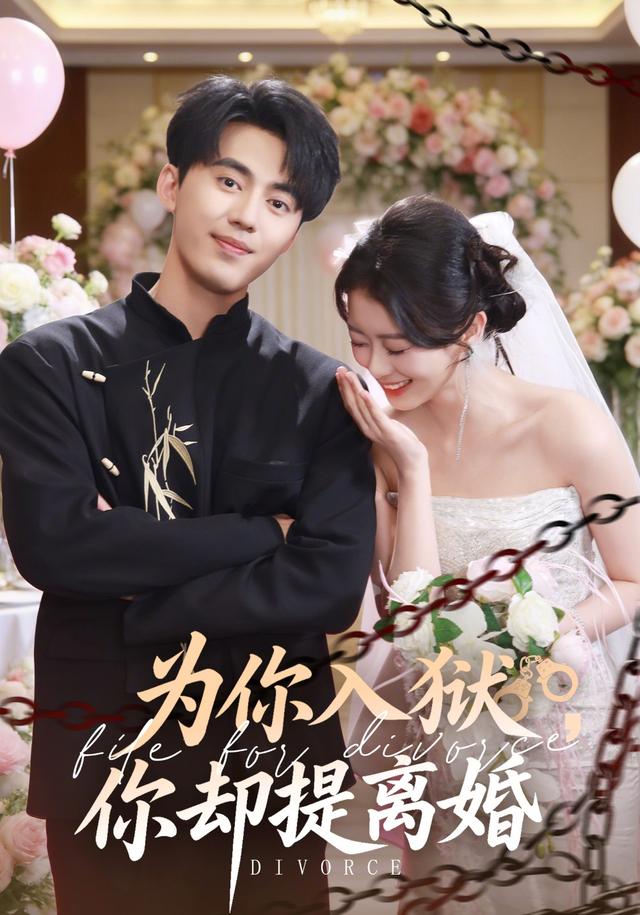 为你入狱，你却提离婚封面图