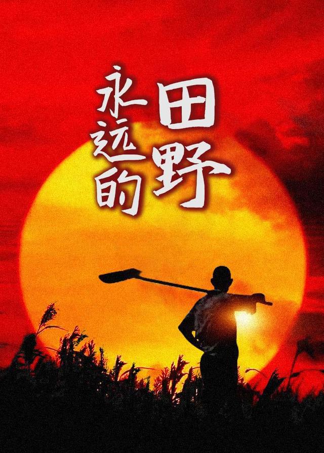 永远的田野封面图