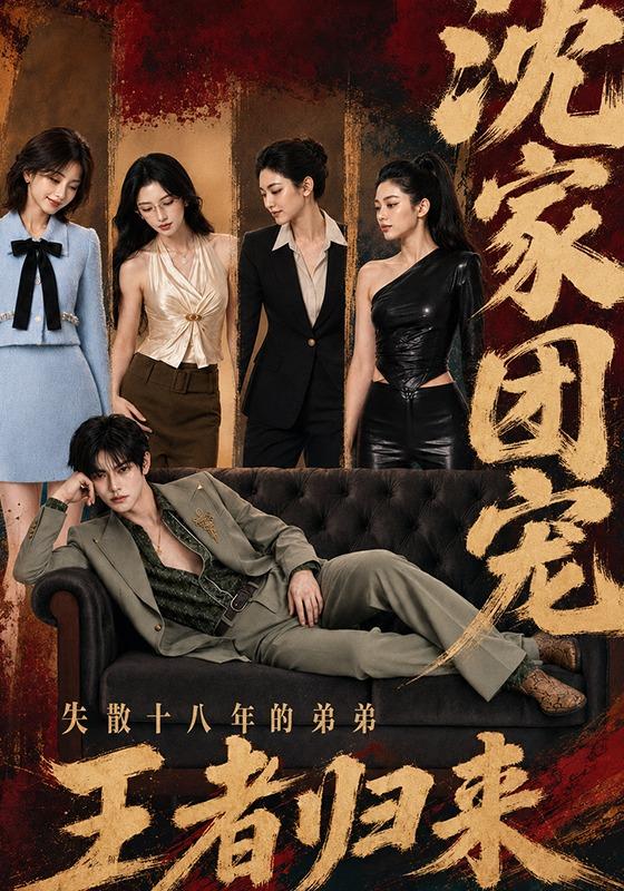 沈家团宠：失散十八年的弟弟王者归来